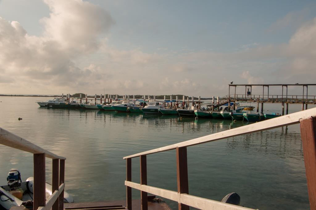 Chez Manany Galapagos Ecolodge Puerto Villamil Kültér fotó