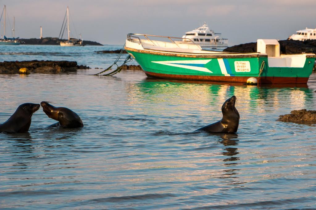 Chez Manany Galapagos Ecolodge Puerto Villamil Kültér fotó