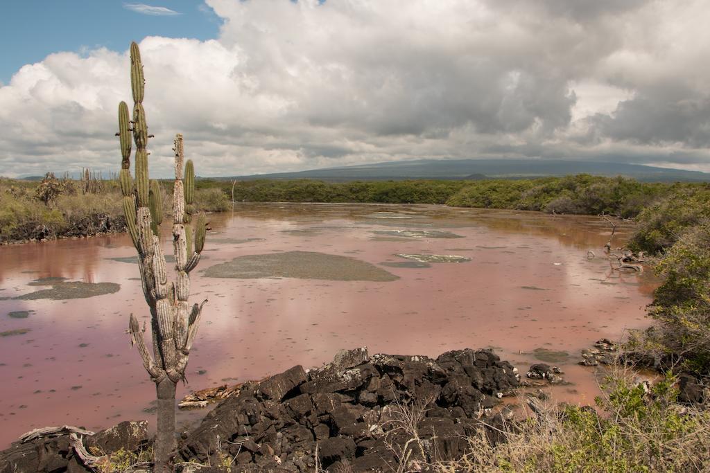 Chez Manany Galapagos Ecolodge Puerto Villamil Kültér fotó