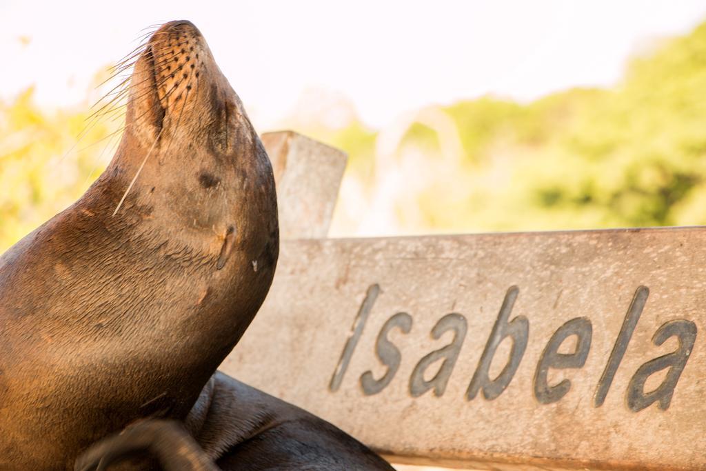 Chez Manany Galapagos Ecolodge Puerto Villamil Kültér fotó